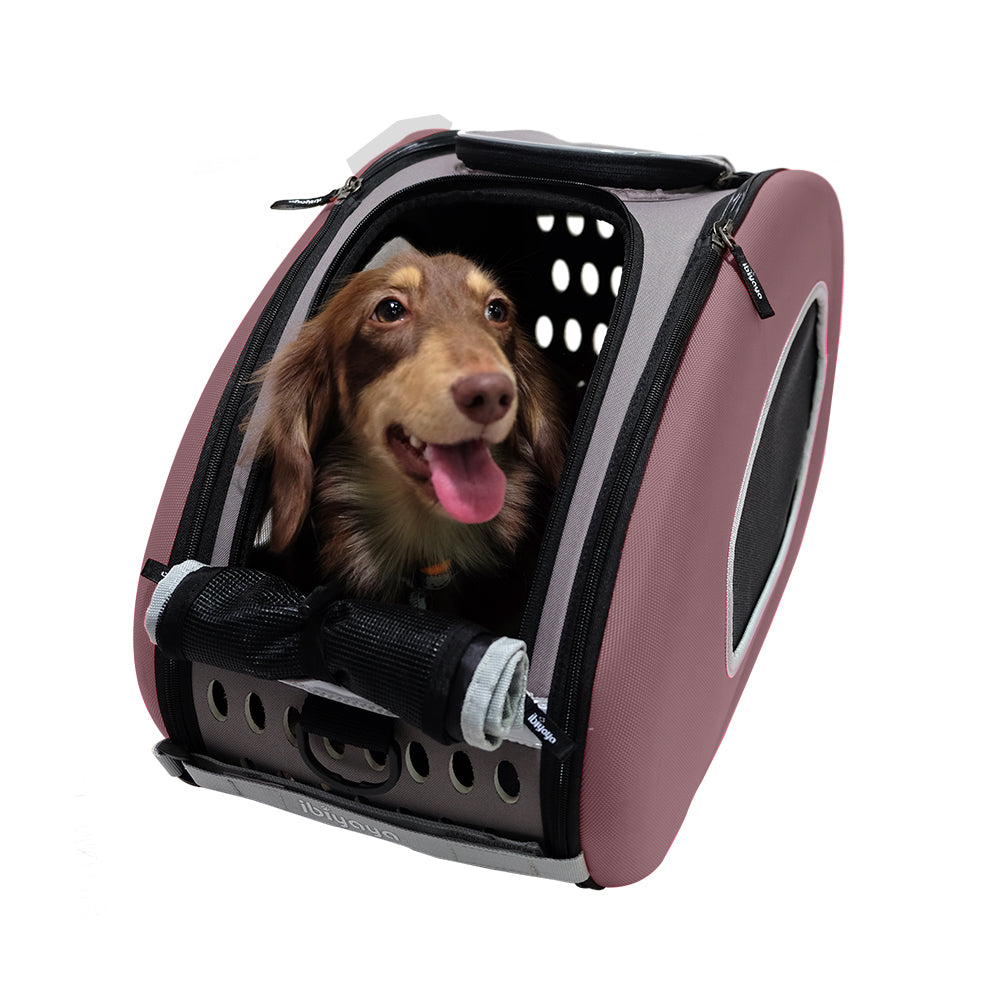 5-in-1 Combo EVA  Pet Carrier/Stroller (Luxury package)