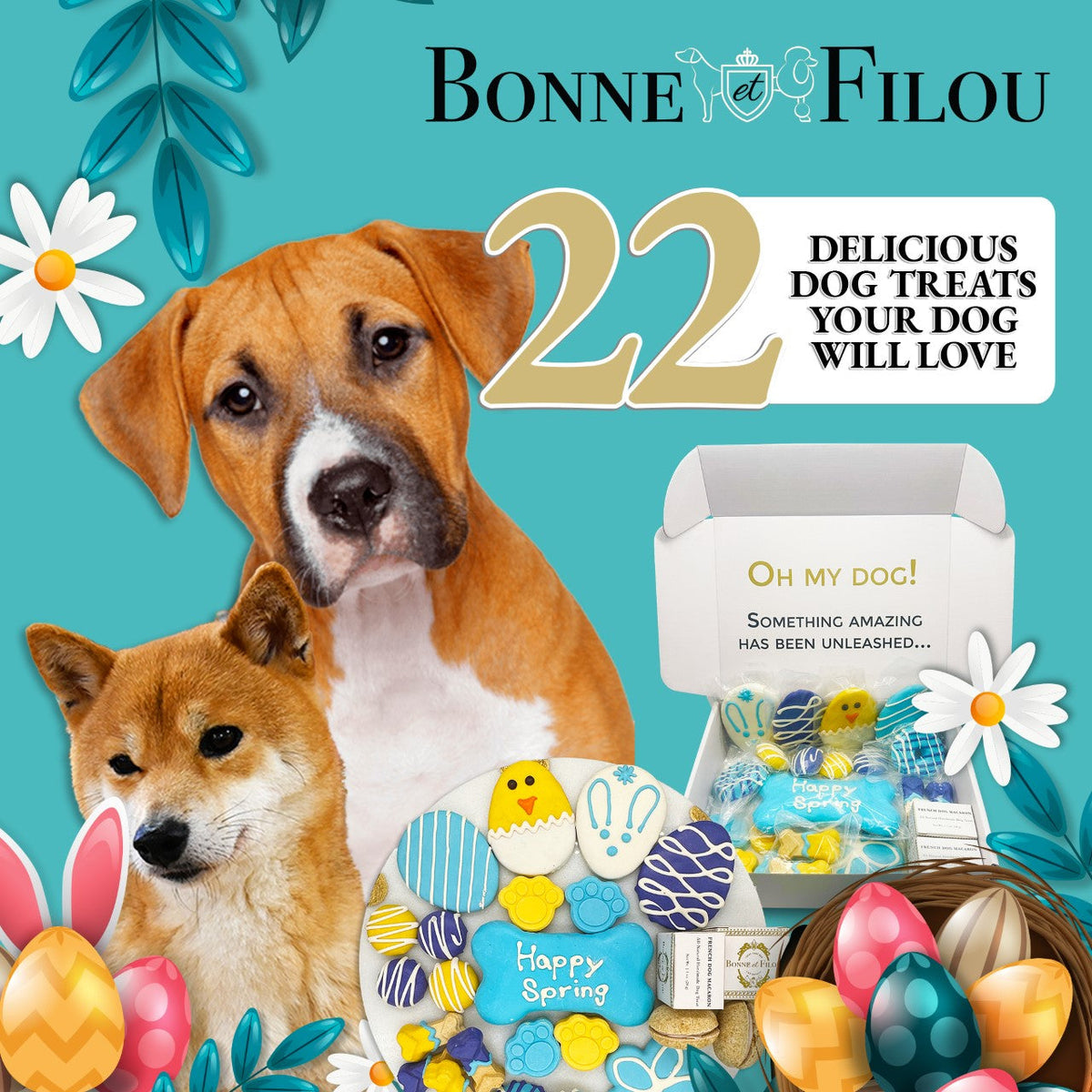 Bonne et Filou – Spring Dog Treat Gift Box