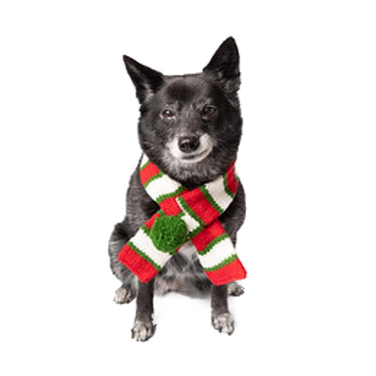 Chilly Dog Christmas Wool Pet Scarf
