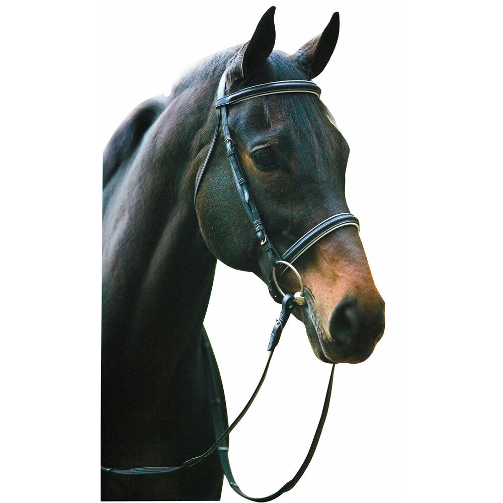 Henri de Rivel Pro Padded Dressage Bridle with Web Reins | HT Animal Supply