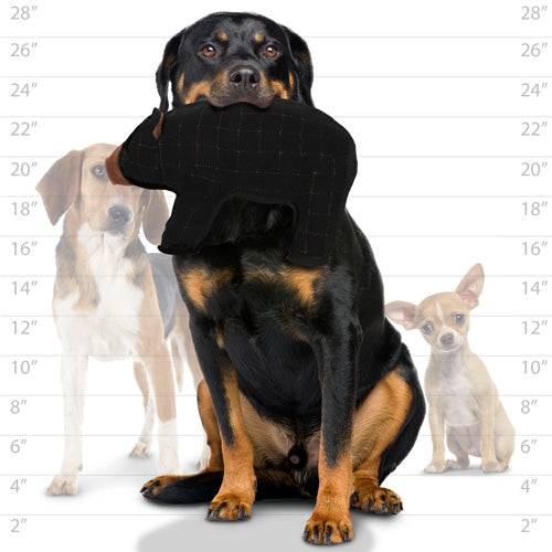 Tuffy® Zoo Series - Beaufort Bear