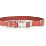 Modern Style Quick-Release Coral Reef Leather Dog Collar