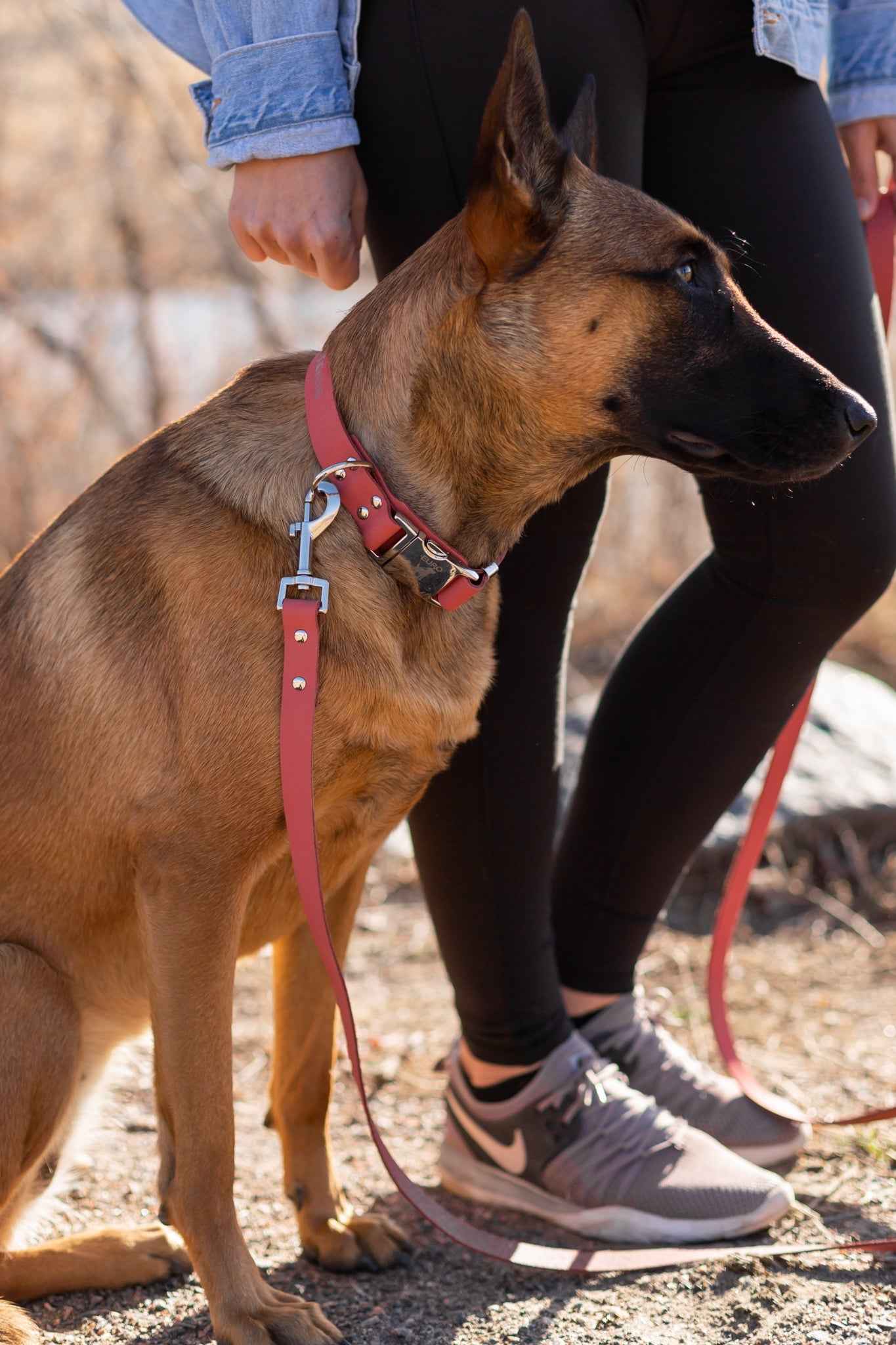 Euro-Dog Modern Quick-Release Leather Dog Collar