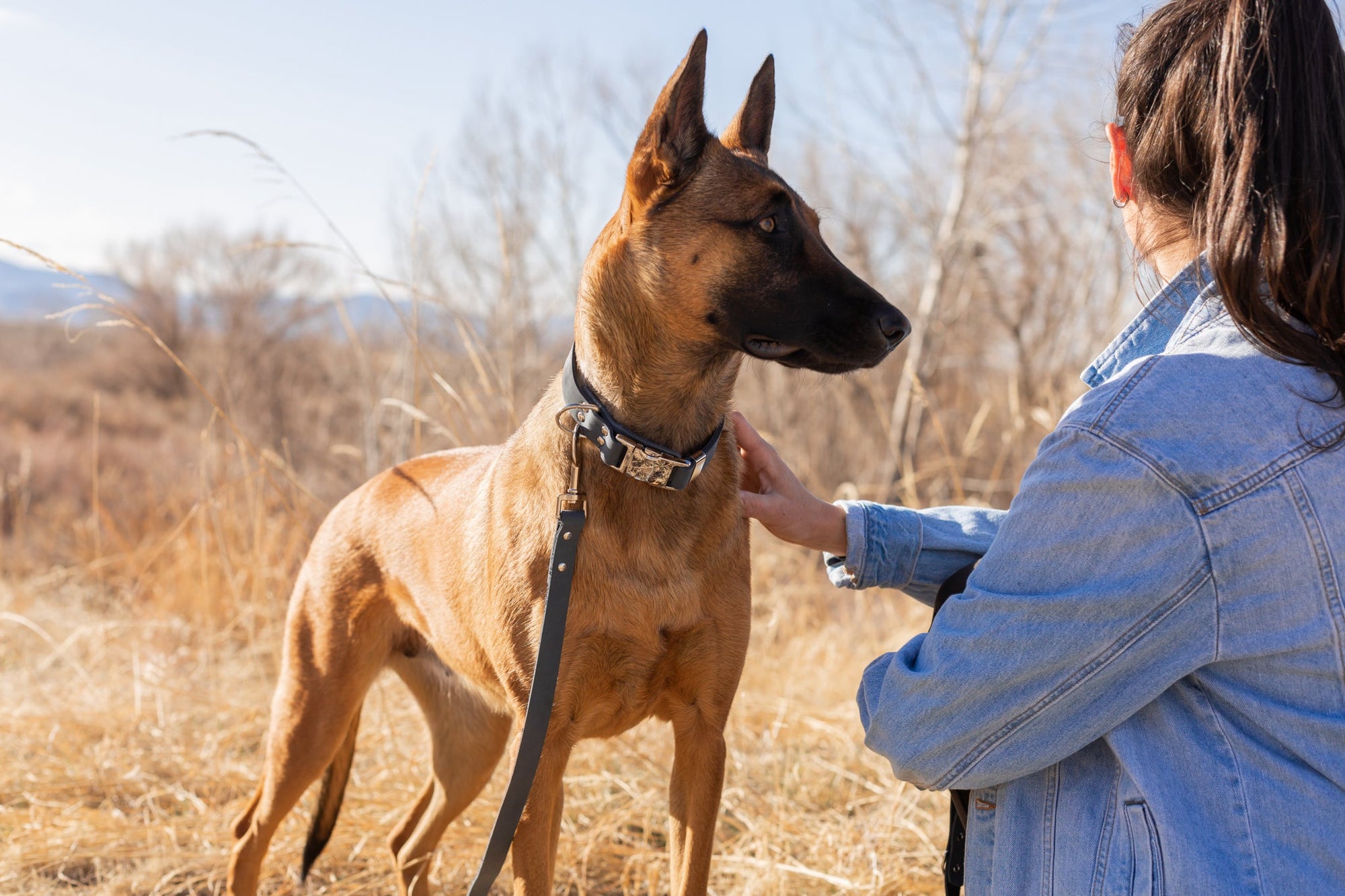 Euro-Dog Modern Quick-Release Leather Dog Collar