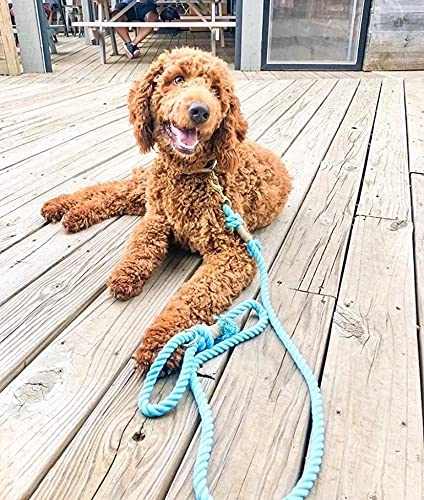 Glow Pups: Light Blue Boho Chic Cotton Rope Dog Leash