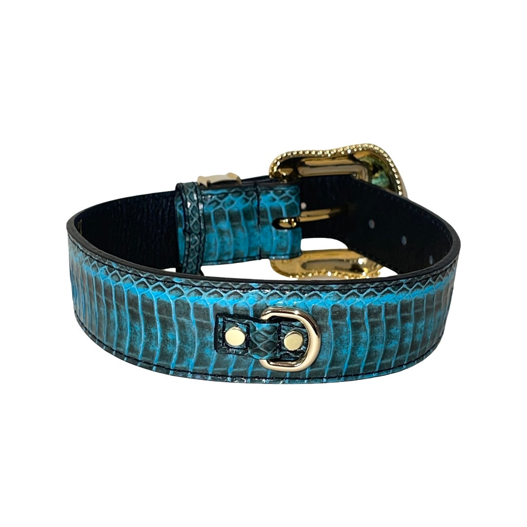 Allysa Payne Turquoise & Black Swarovski Crystal Hardware Snake Dog Collar