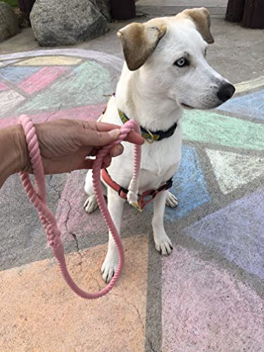 Glow Pups: Pink and White Tie Dye Dog Leash