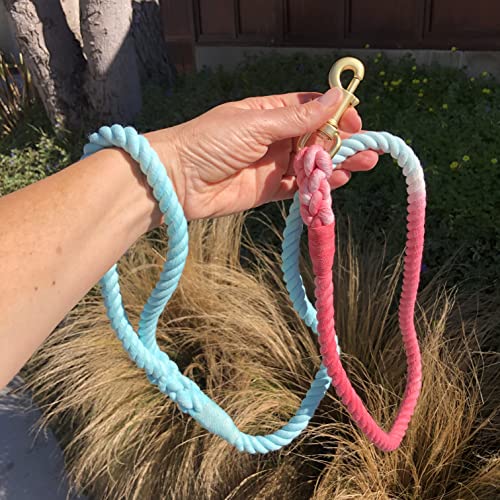 Glow Pups: Pink and Blue Tie Dye Dog Leash