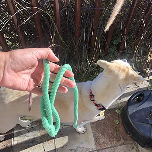 Glow Pups: Green and White Tie Dye Dog Leash