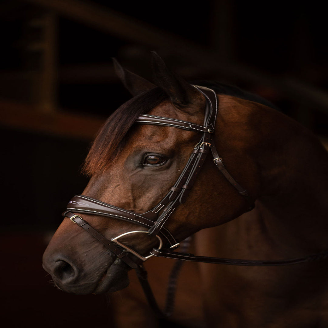 Henri de rivel Jamaika Pro Anatomical Fancy Raised Wide Flash Noseband Bridle with Raised laced reins | HT Animal Supply
