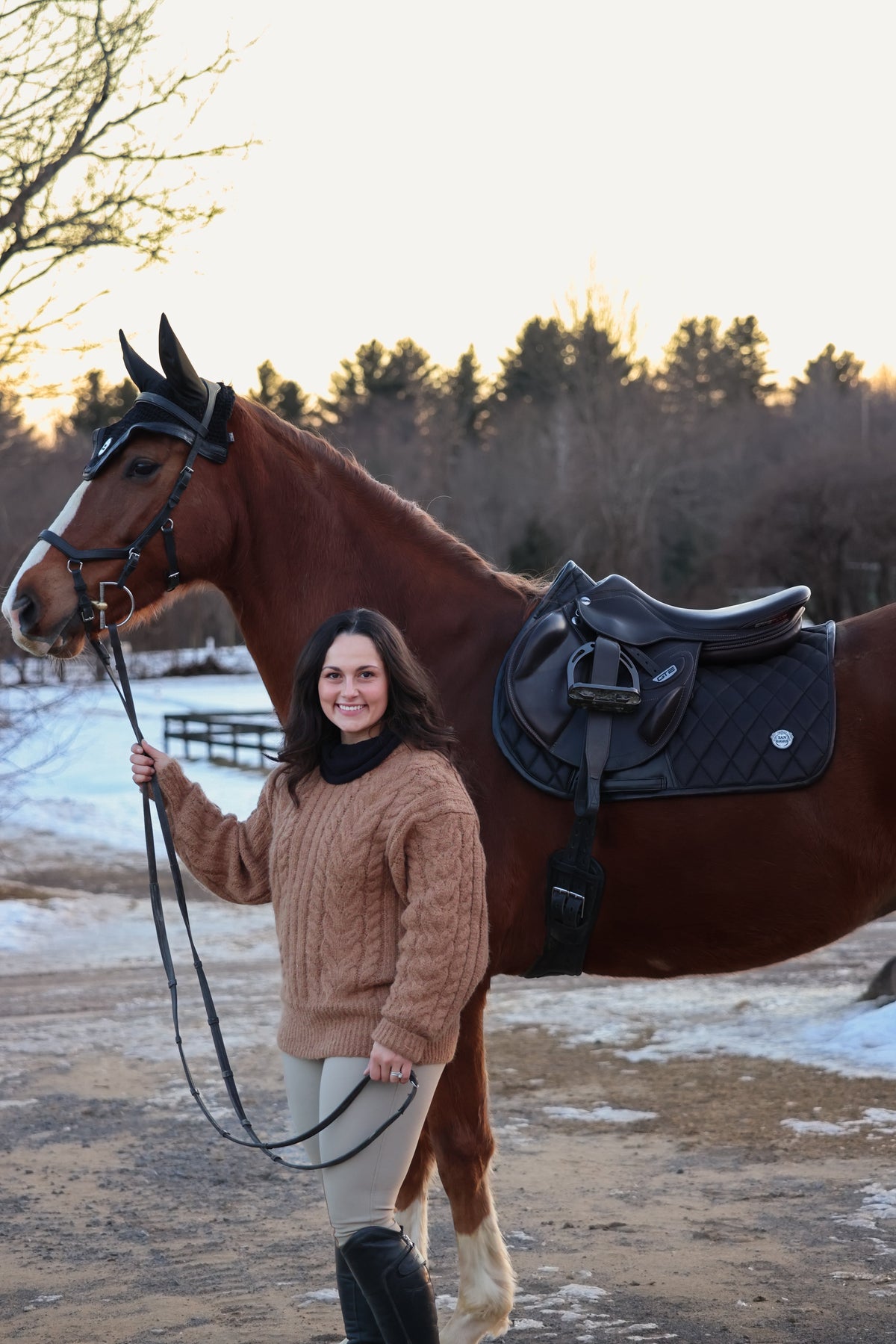 San Eligius Black Ice knit horse bonnet with black leather and glitter piping, side profile on horse