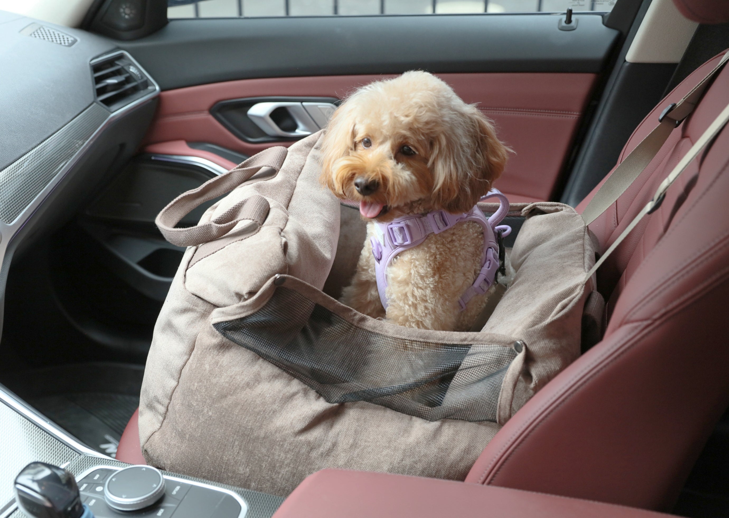 Puff Guard Dog Car Seat-Pink
