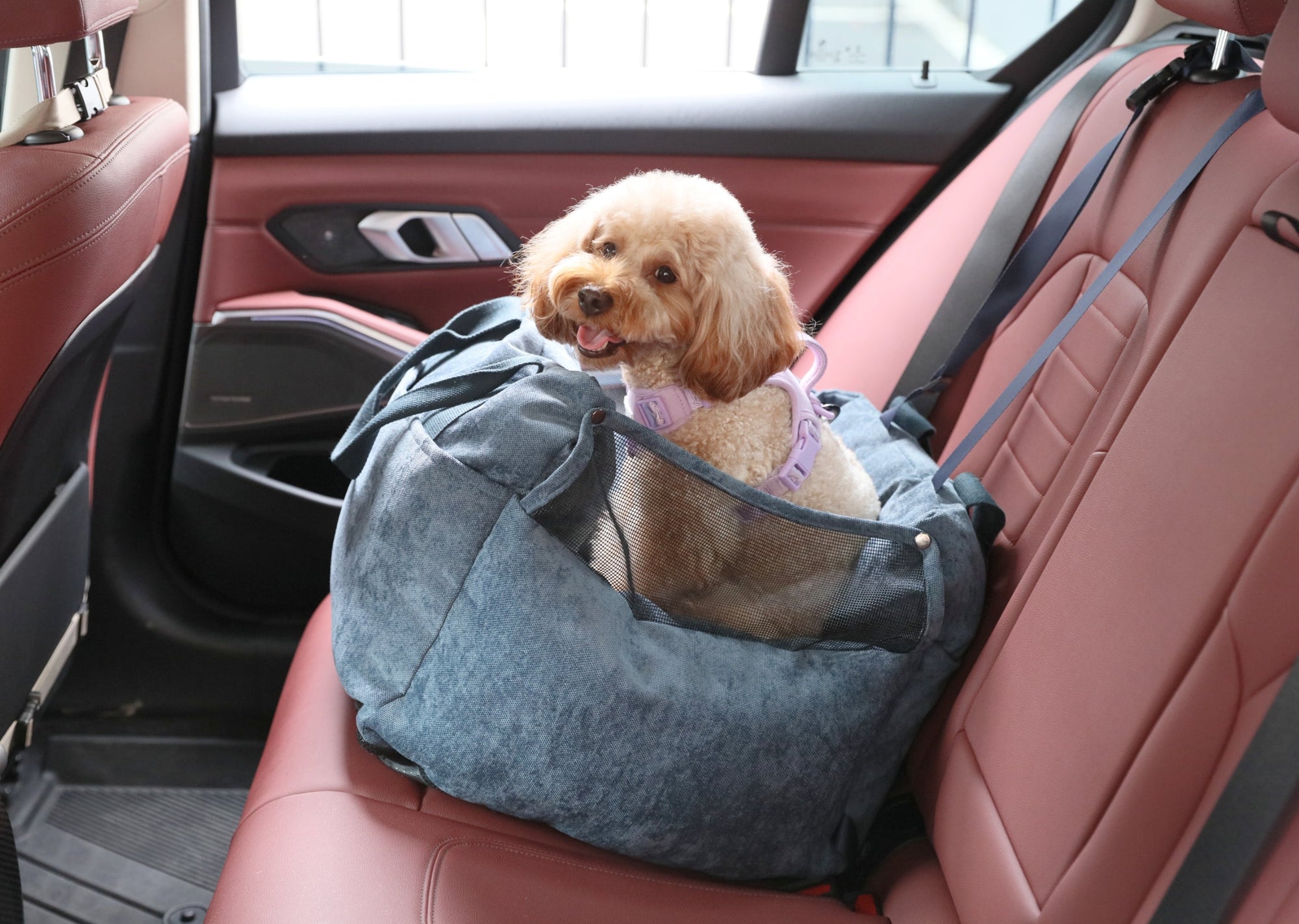 Puff Guard Dog Car Seat-Blue