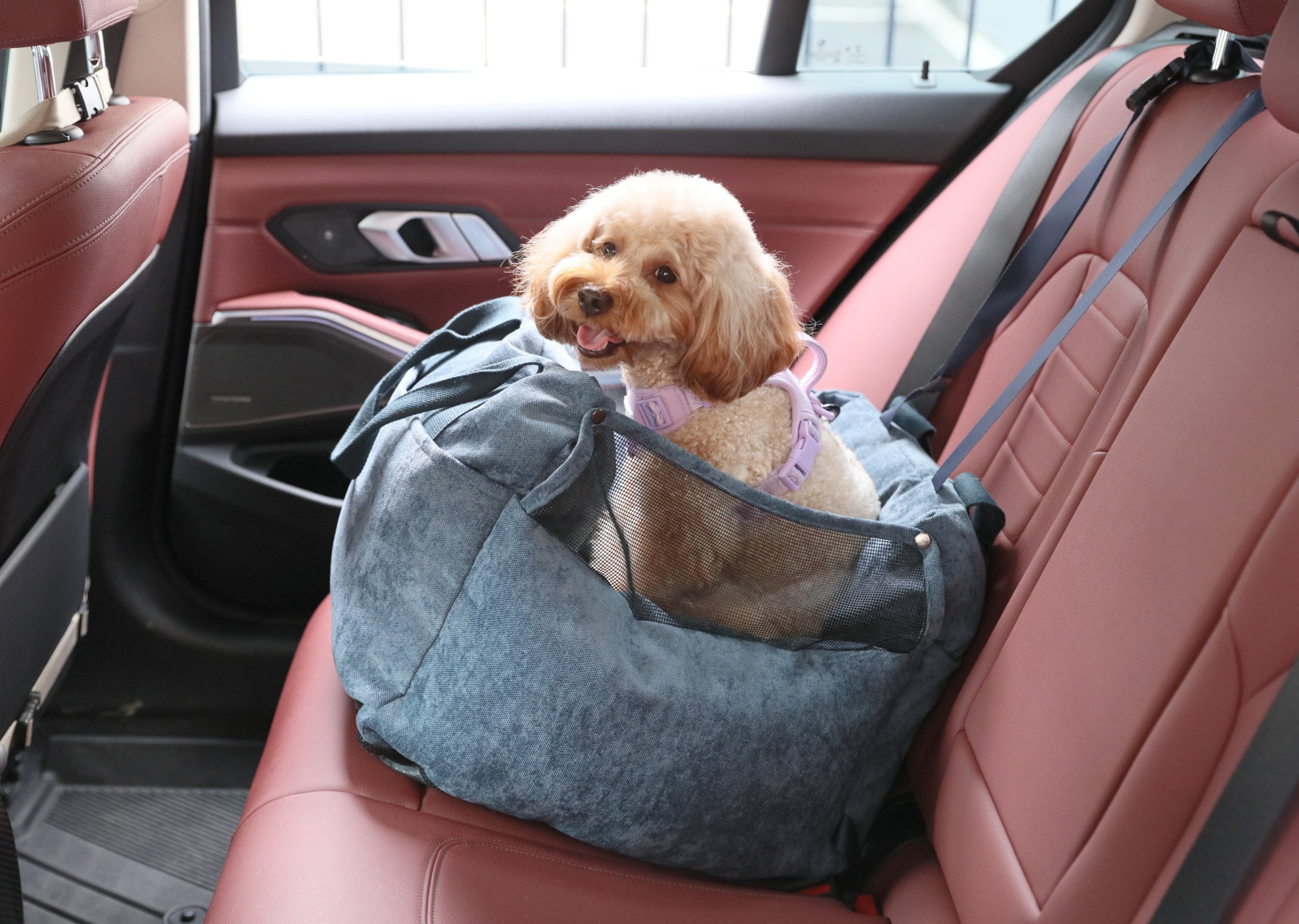 Puff Guard Dog Car Seat-Blue