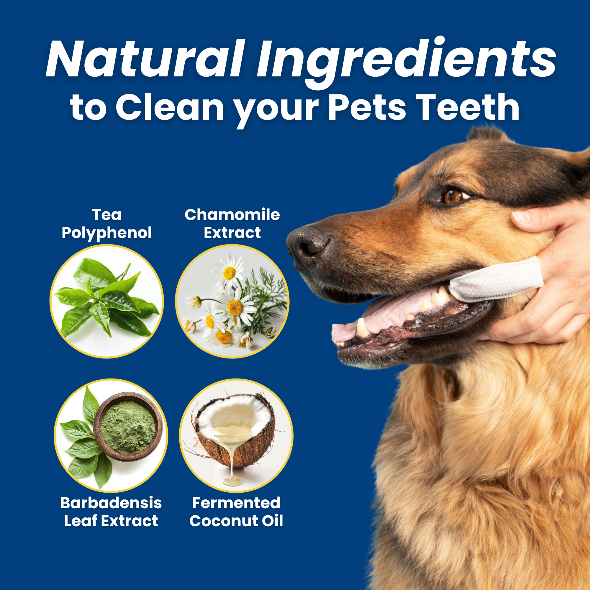 3-Pack Hygiene Bundle - Pet Dental, Ear, & Eye Finger Wipes