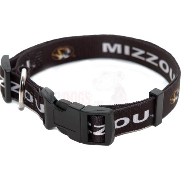 NCAA Missouri Tigers Dog Collar by Hunter