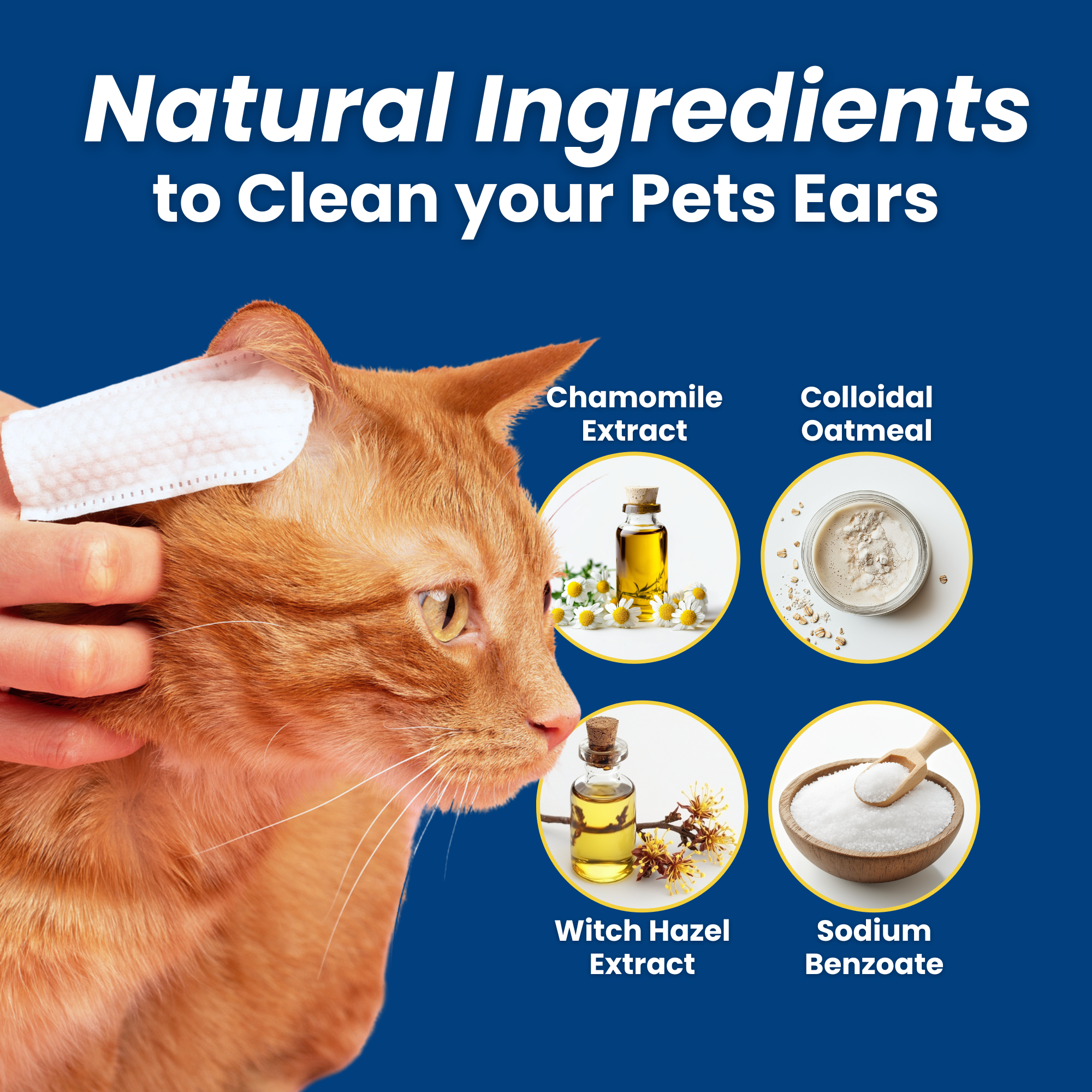 3-Pack Hygiene Bundle - Pet Dental, Ear, & Eye Finger Wipes