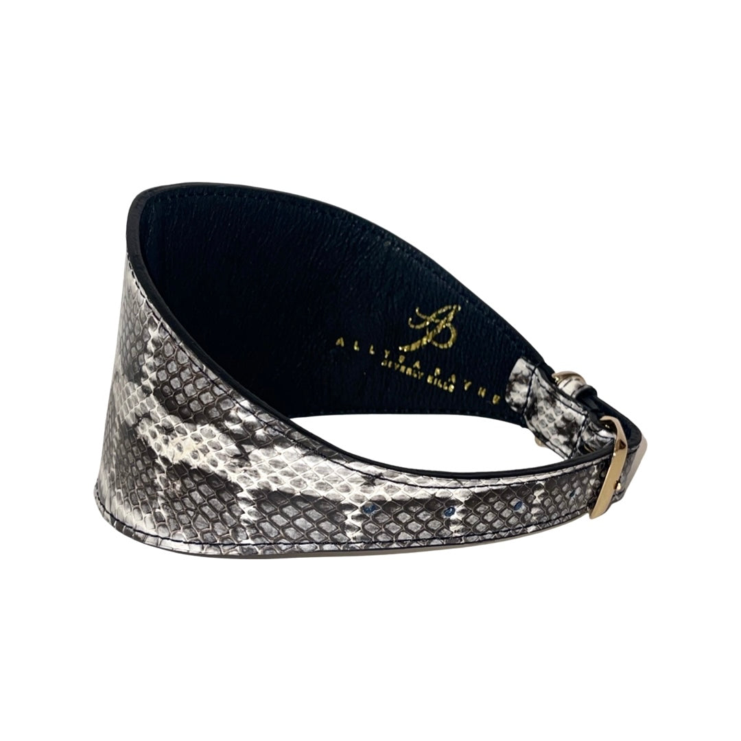 Allysa Payne White & Black 4-Inch Wide Snake Dog Collar
