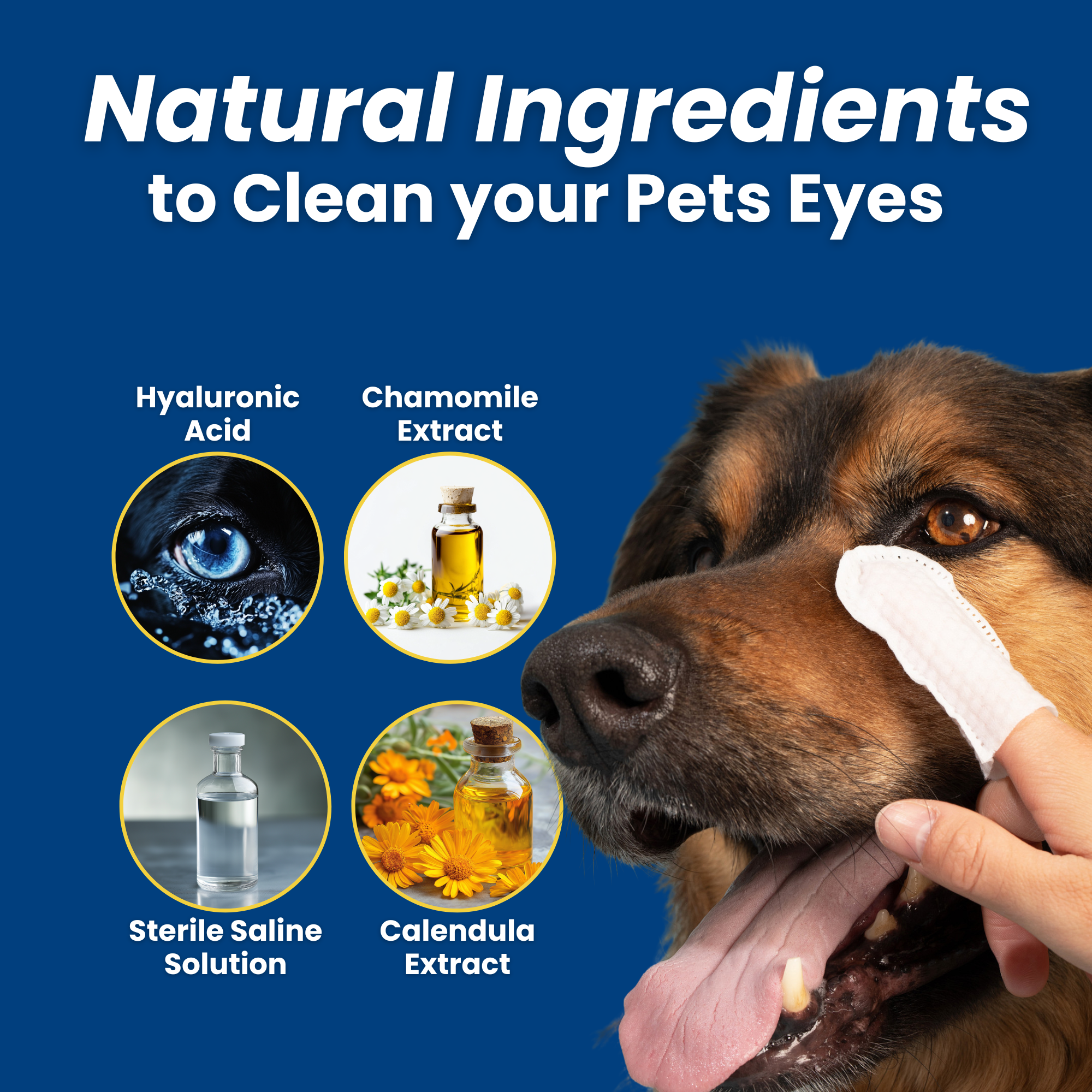 3-Pack Hygiene Bundle - Pet Dental, Ear, & Eye Finger Wipes