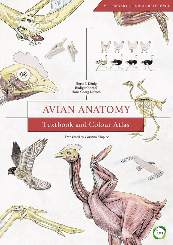 Cover of Avian Anatomy 2nd Edition – Book, ISBN 9781910455609