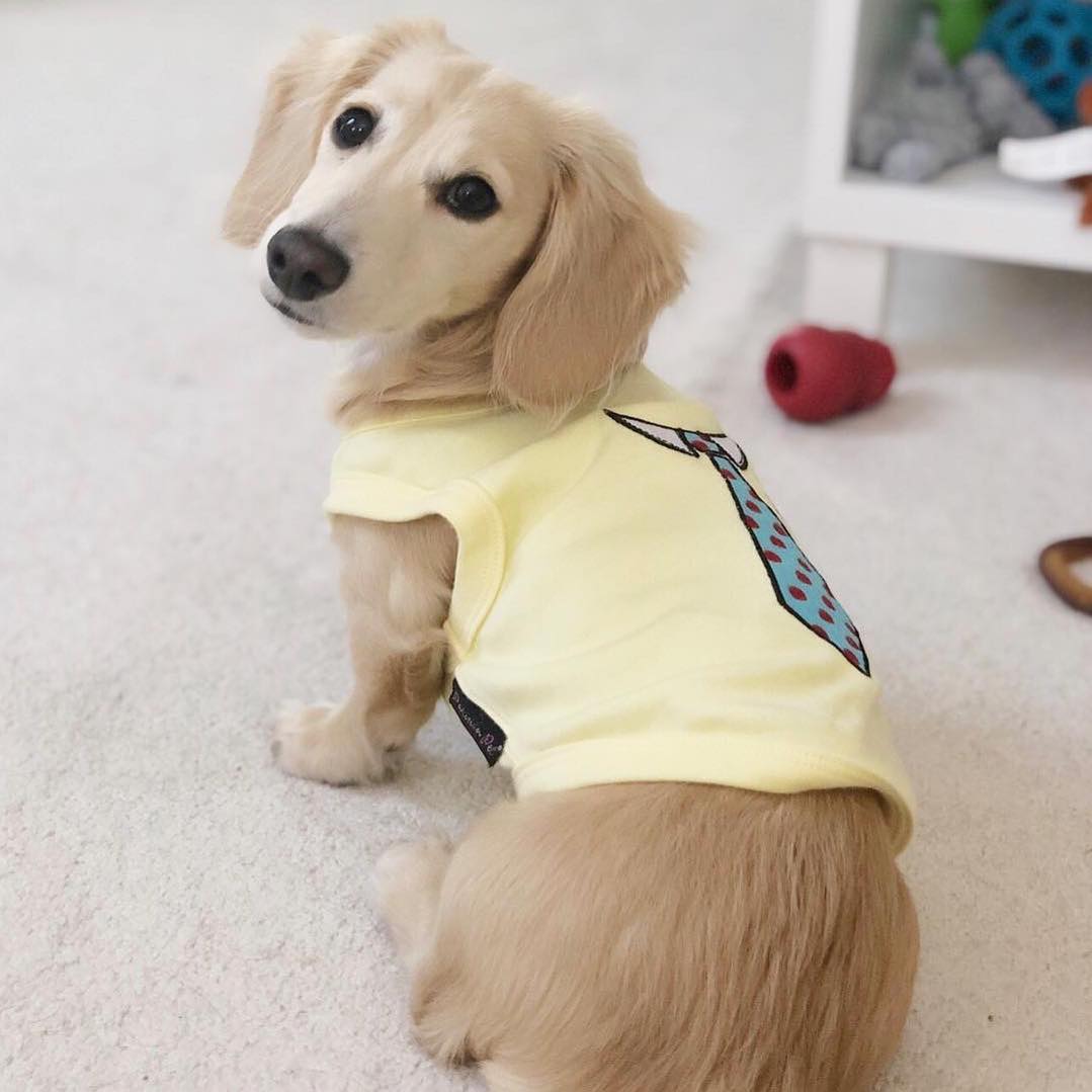 Parisian Pet Tie Dog T-Shirt-Light Yellow
