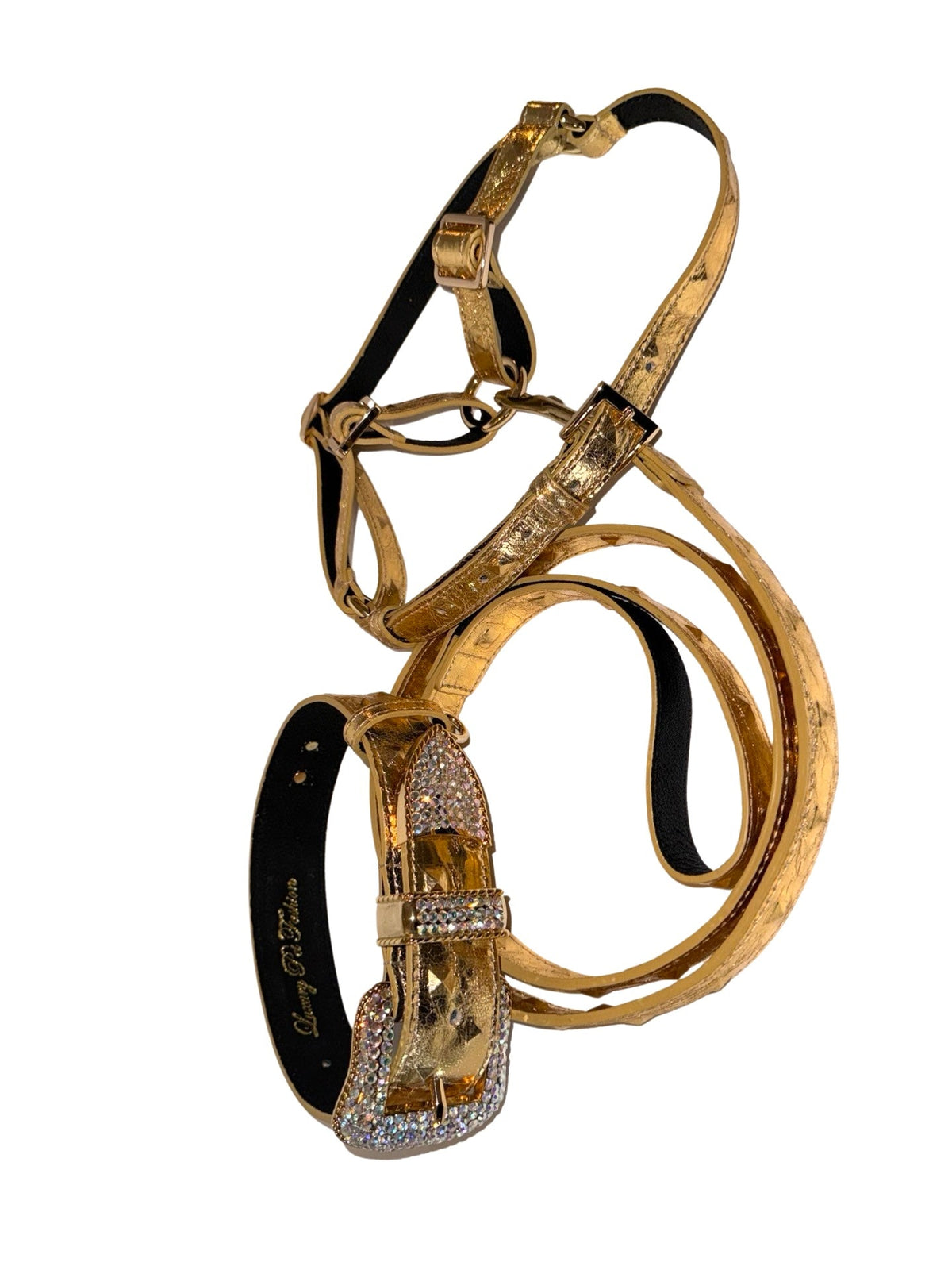 Allysa Payne Glam Gold Embossed Studded Italian Leather With Our Custom Swarovski Crystal Buckle Dog Collar, Leash & Harness Set