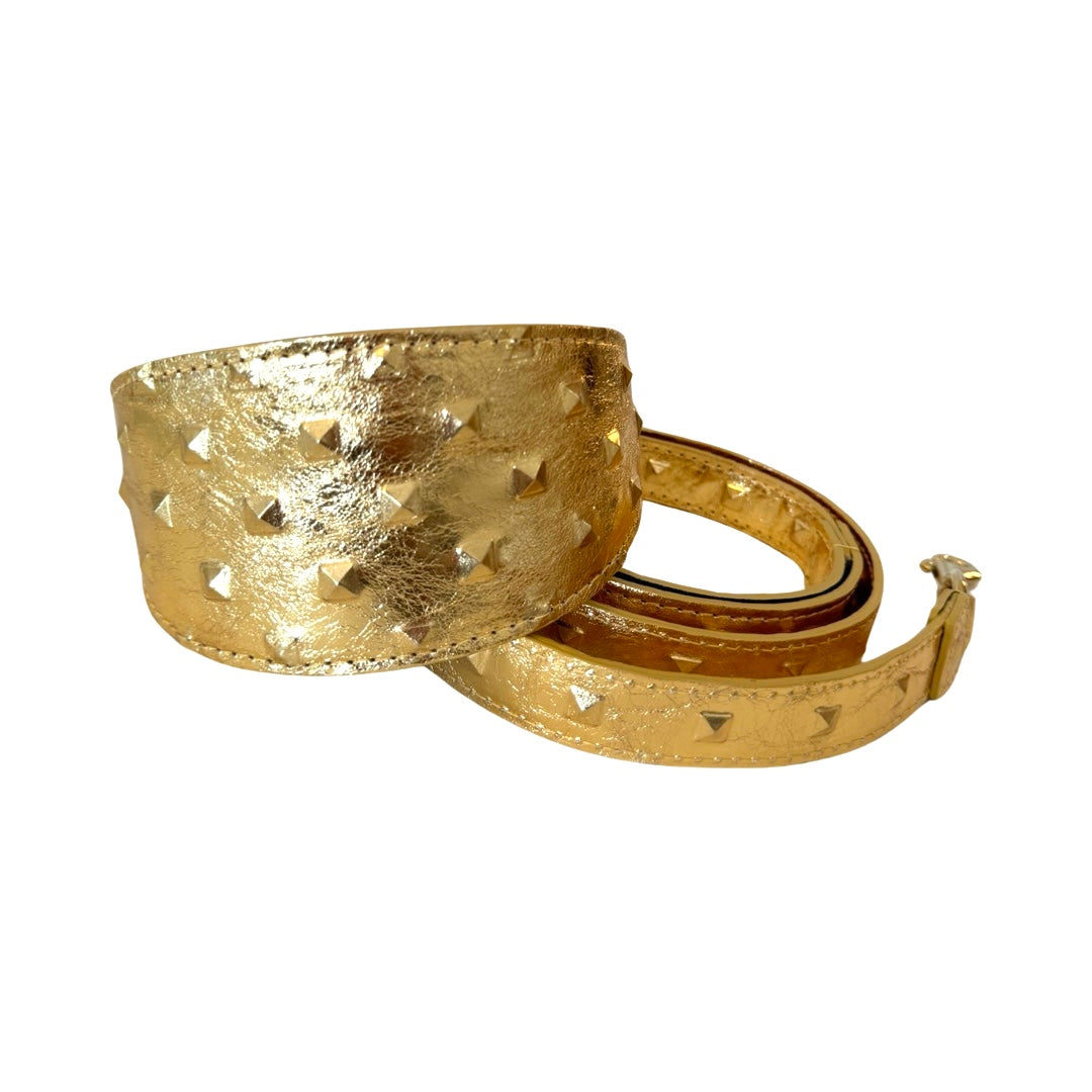 Allysa Payne Glam Gold Embossed Studded Italian Leather 3-Inch Wide Style Dog Collar & Leash Set