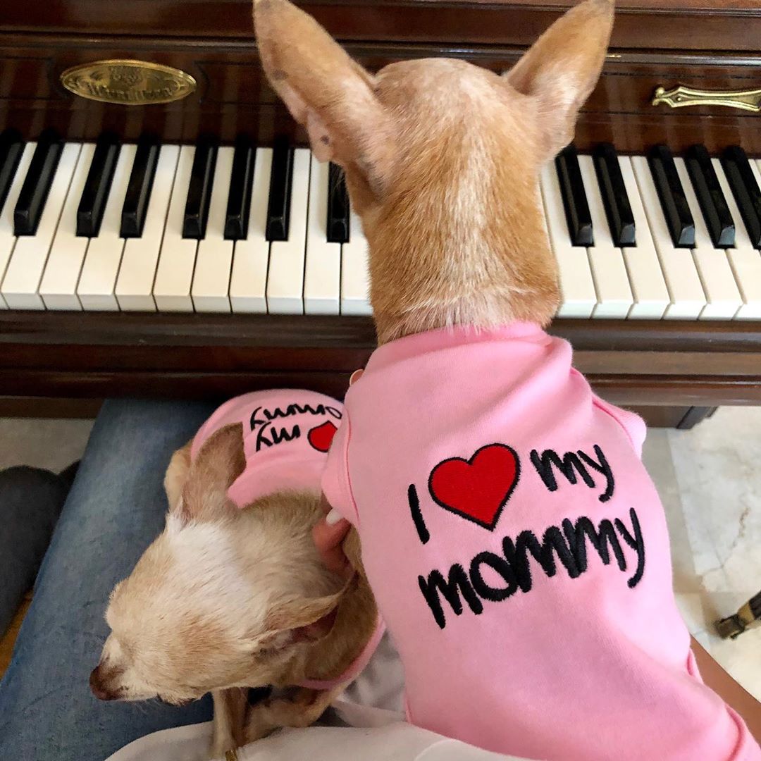 Parisian Pet I Love Mommy Dog T-Shirt-Pink