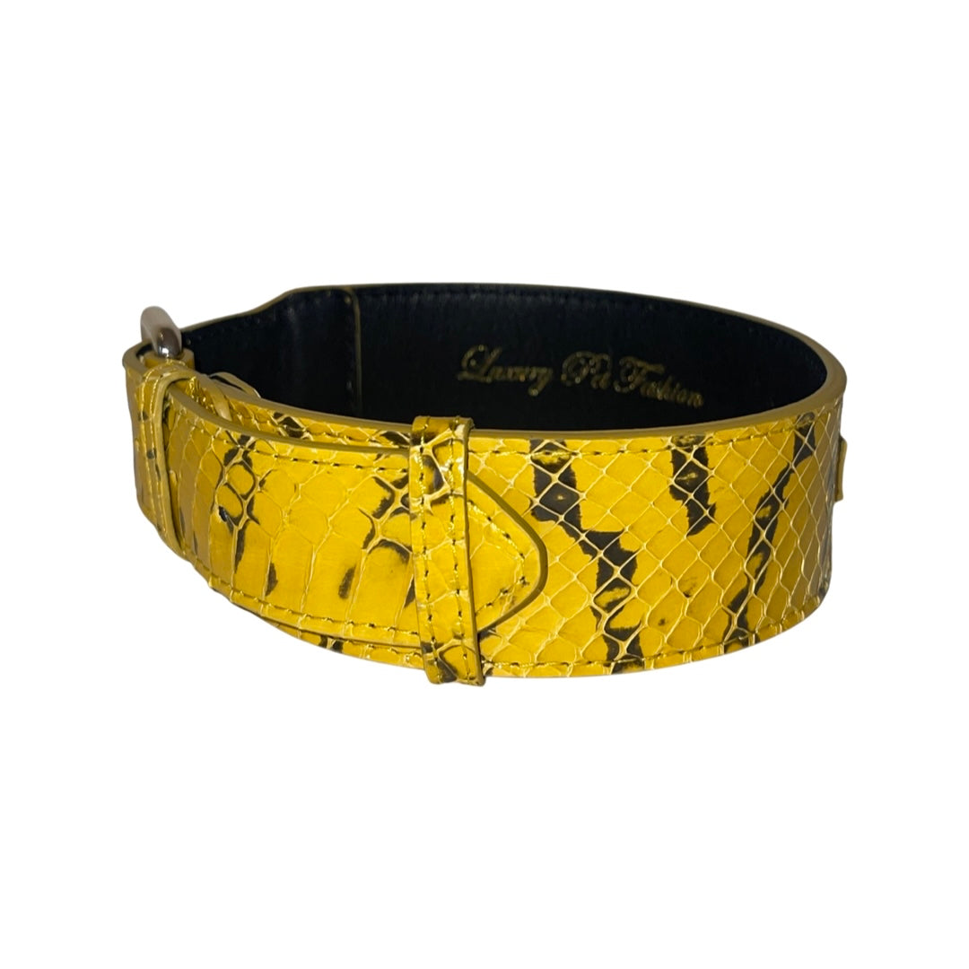 Allysa Payne Mustard Yellow & Black Snake Classic Dog Collar