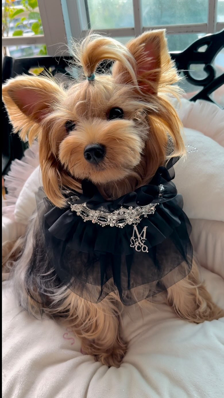 Whimsical Wedding: Imperial