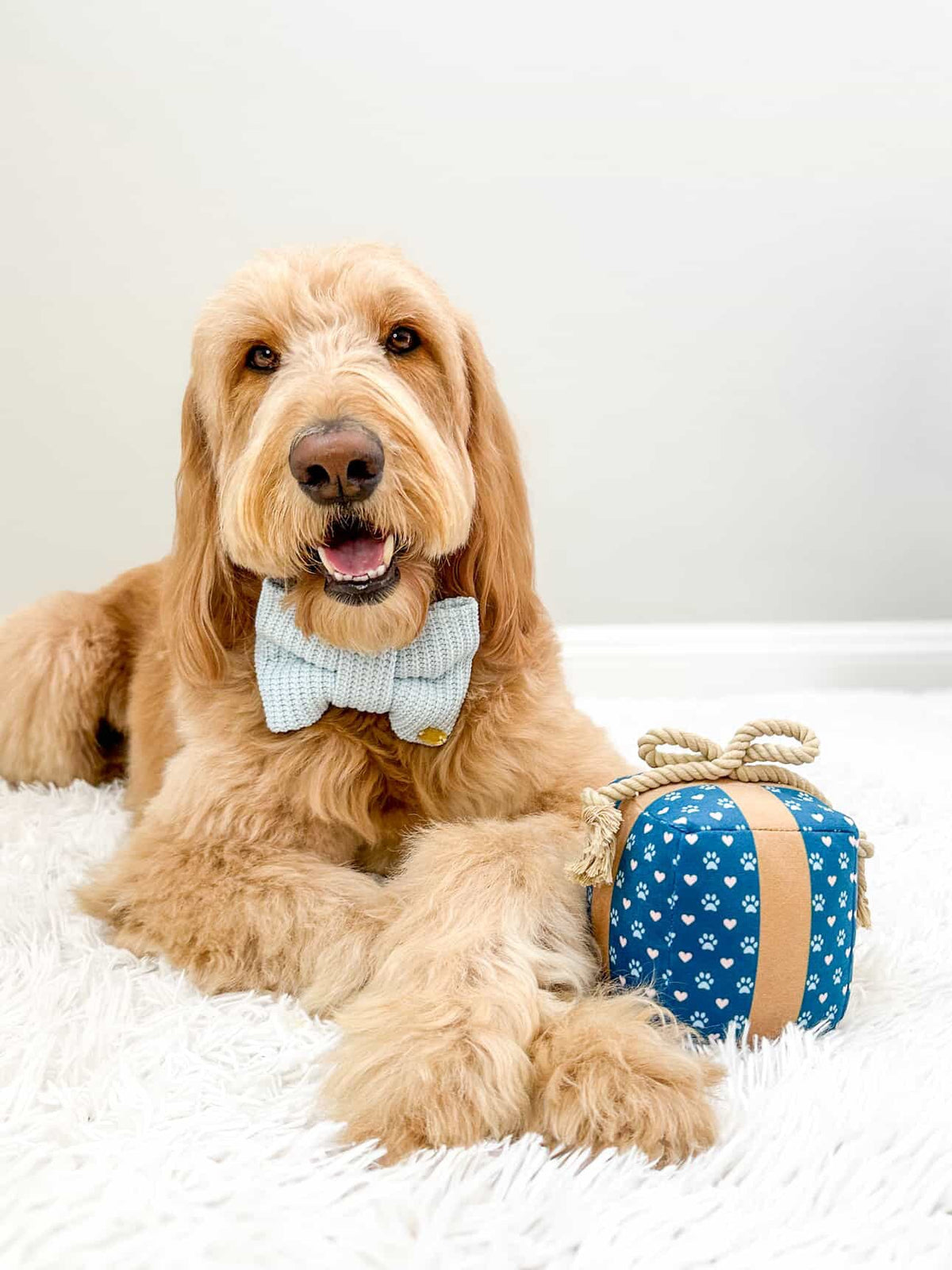 PUPROAR Gift Box Dog Toy - Cute Squeaky Birthday Dog Toy with Rope Bow