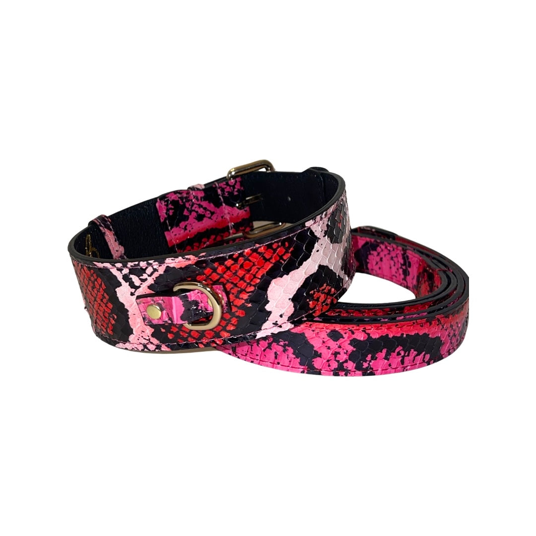 Allysa Payne Fuchsia/Light Pink/Red & Black Snake Classic Dog Collar & Leash Set