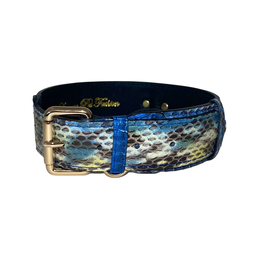 Allysa Payne Multi-Blue Tone Snake Classic Dog Collar