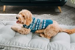 Alpaca Teal Fair Isle Dog Sweater