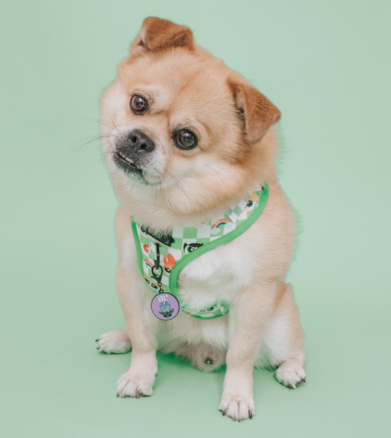 Collar Tag - Mojo Jojo™