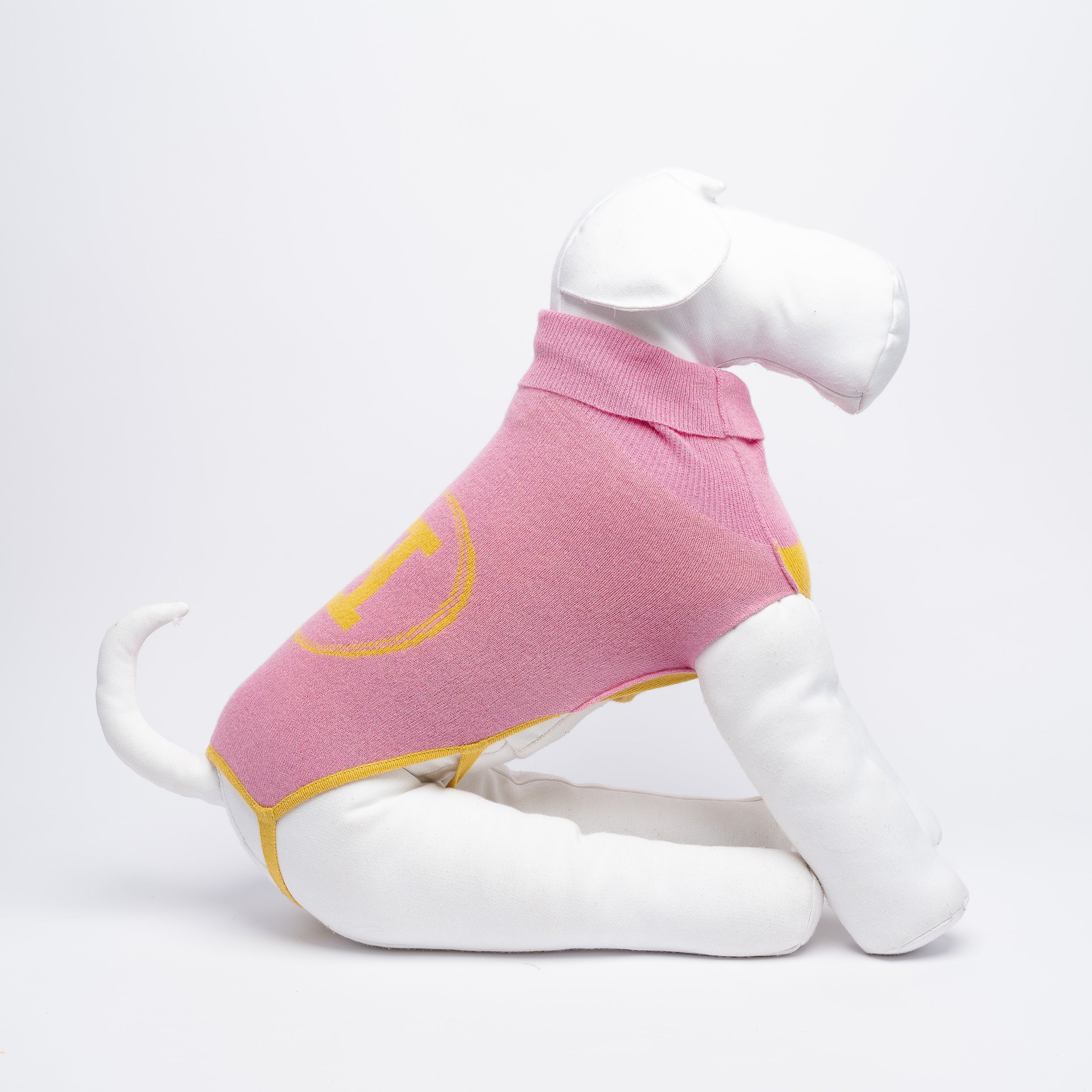 Yellow & Pink Logo