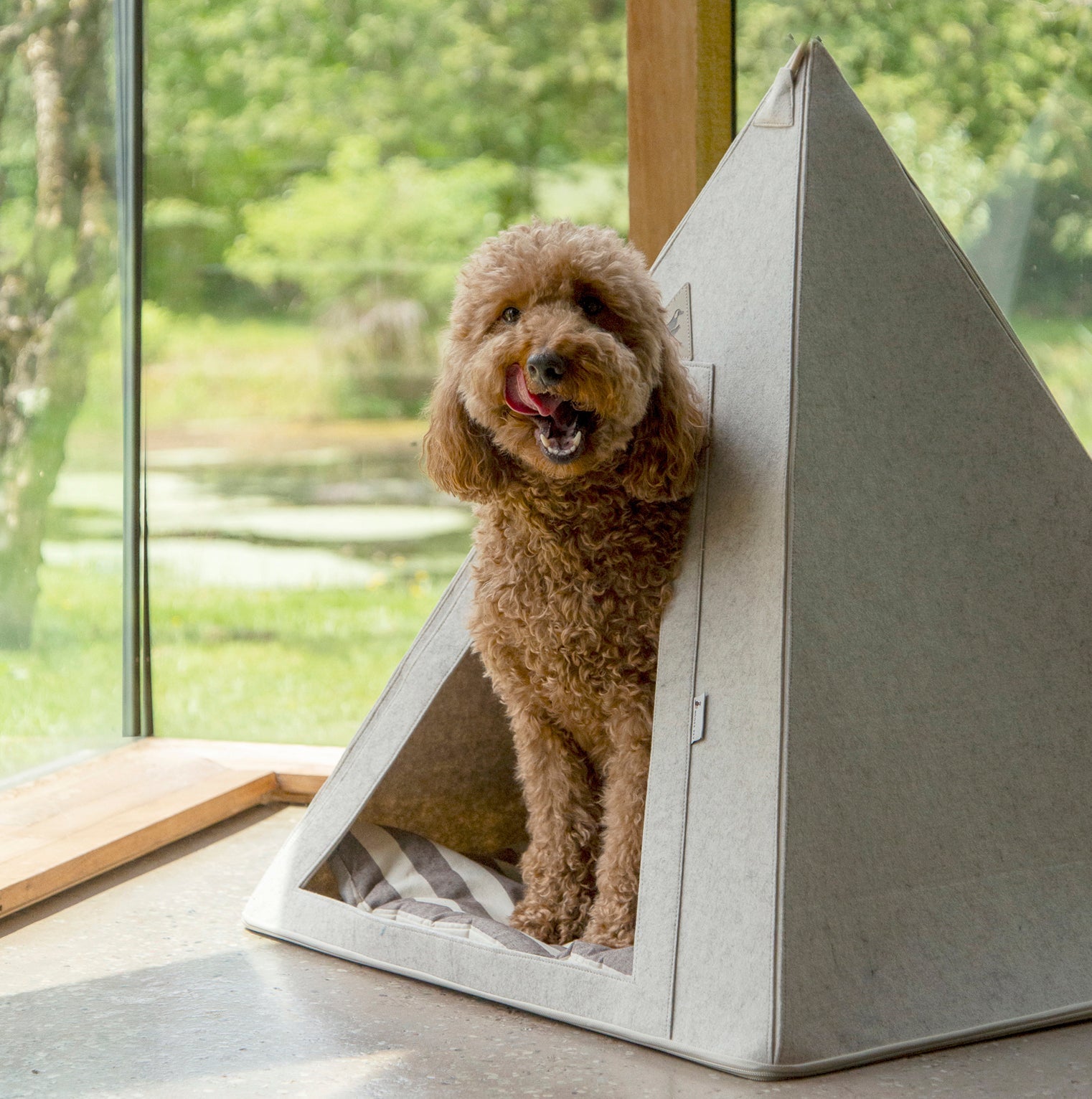 Nooee Pet Teepee Tucker (L)
