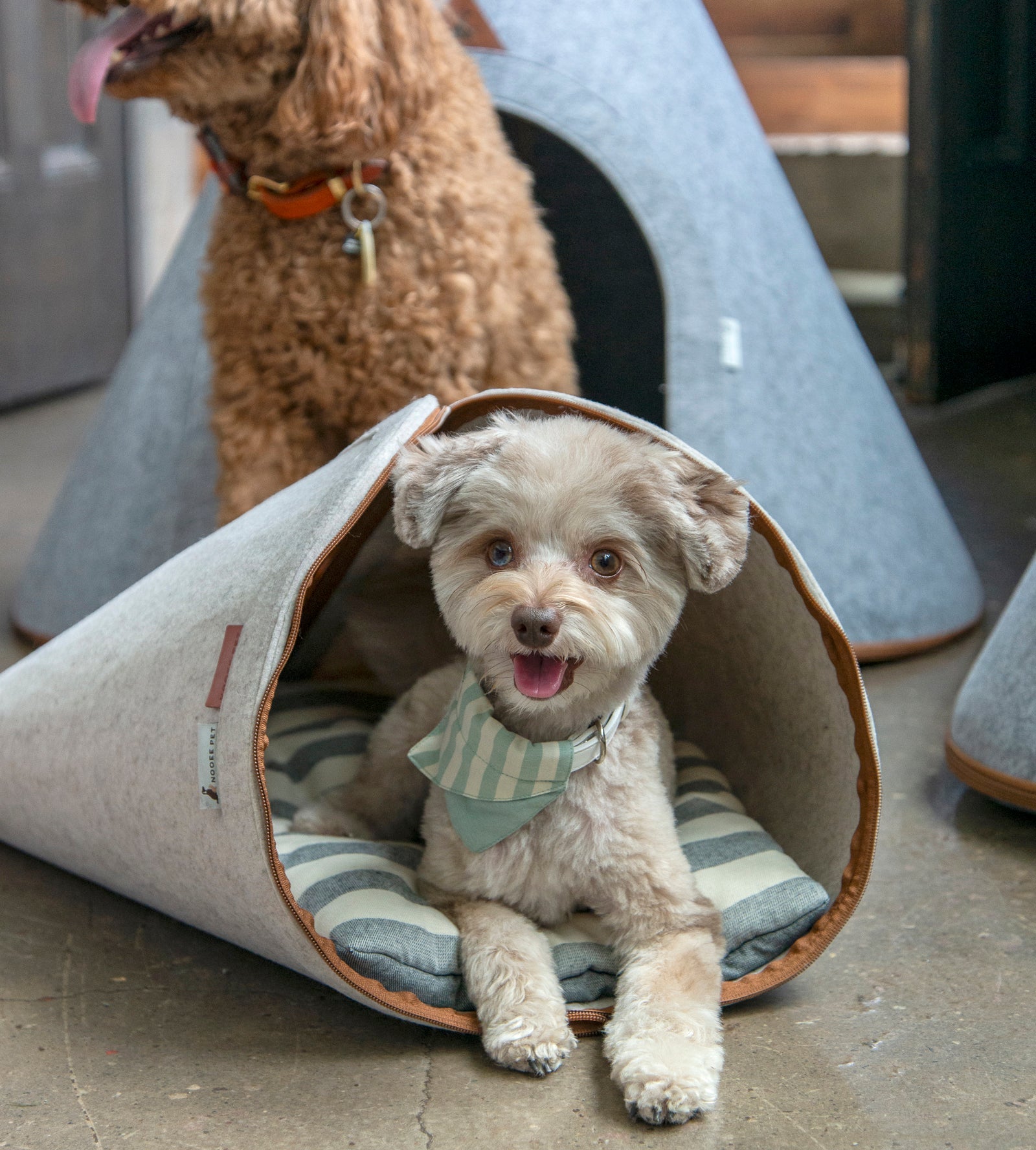 Nooee Pet Nabi Cave-Cream