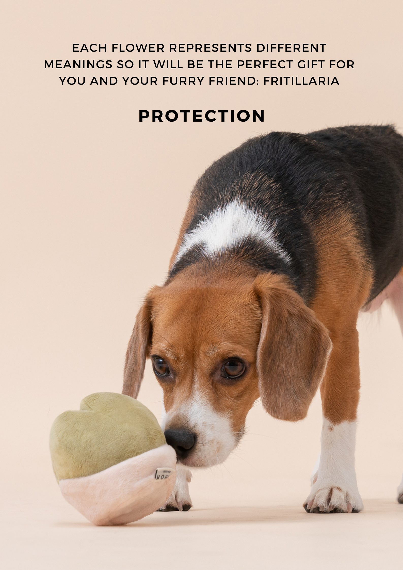 Paradise Pet Toy-Fritillaria