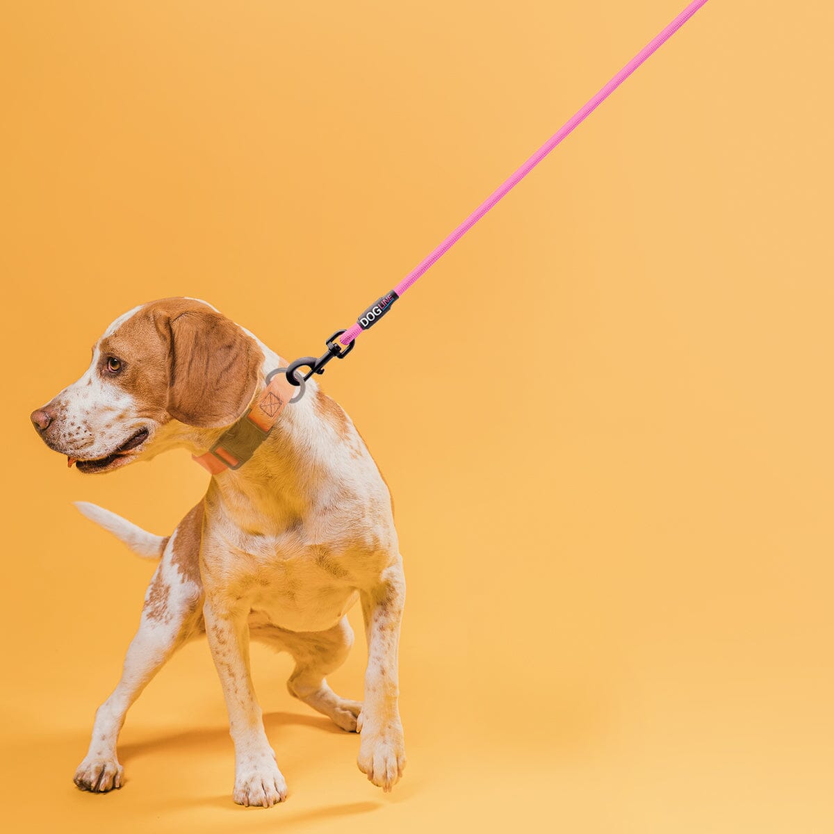 Dogline Nylon Round Dog Lead