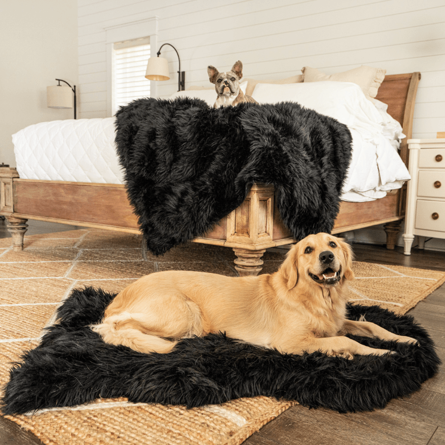 PupProtector™ Waterproof Throw Blanket - Midnight Black | HT Animal Supply