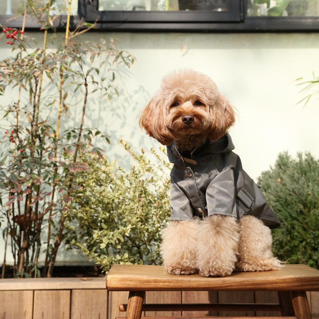 Bowery Raincoat-Gray