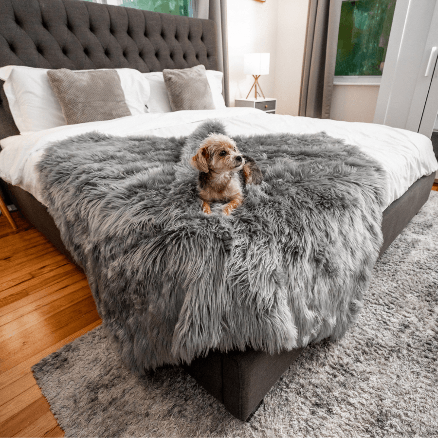 PupProtector Waterproof Throw Blanket Charcoal Grey