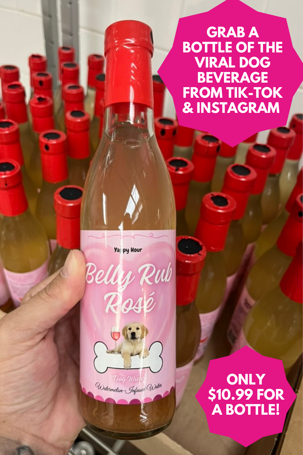 Belly Rub Rose Dog Wine