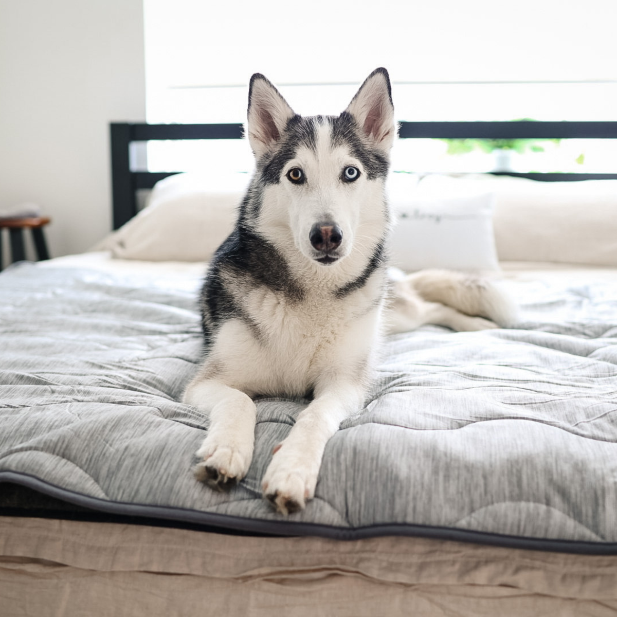 PupChill Cooling Waterproof Blanket Arctic Grey