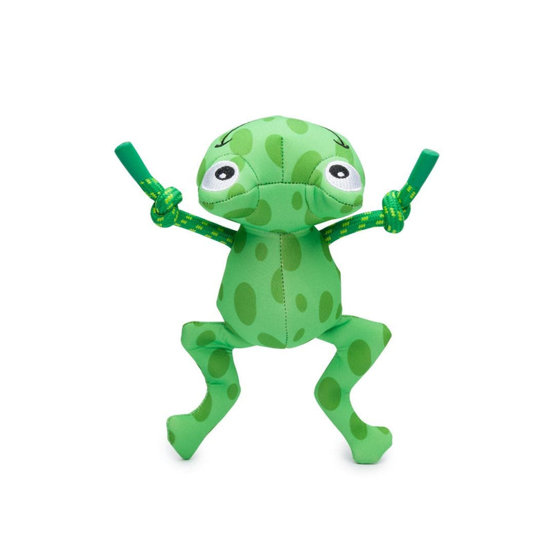 Floatie Frog 