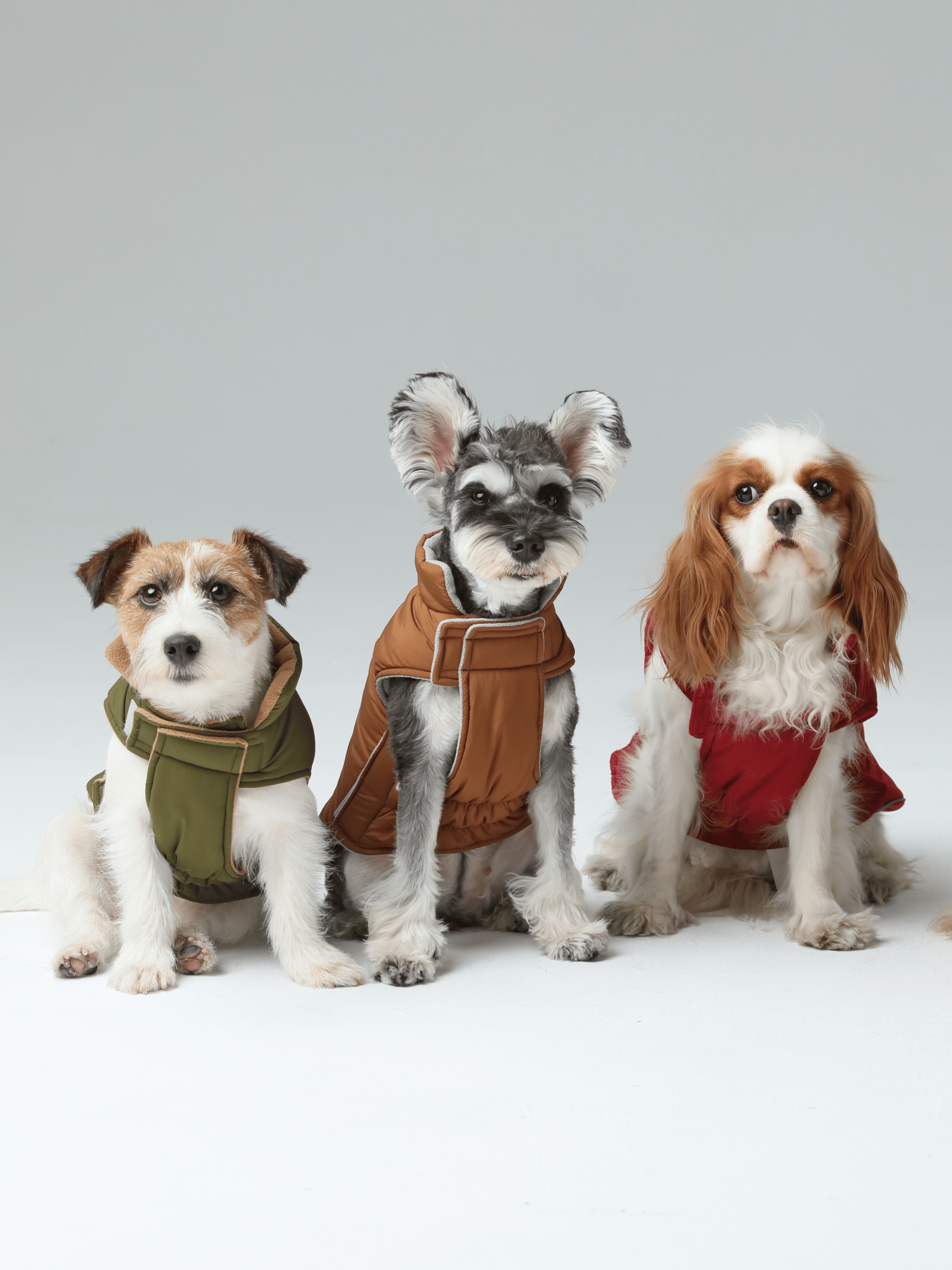 Reversible Dog Vest Jacket-Orange Grey