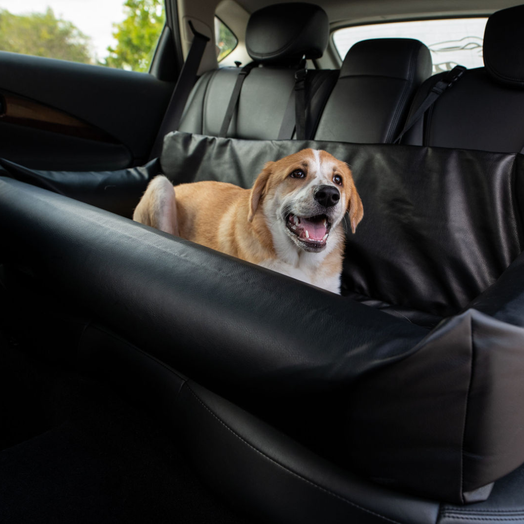 Pupprotector Faux Leather Memory Foam Dog Car Bed Black