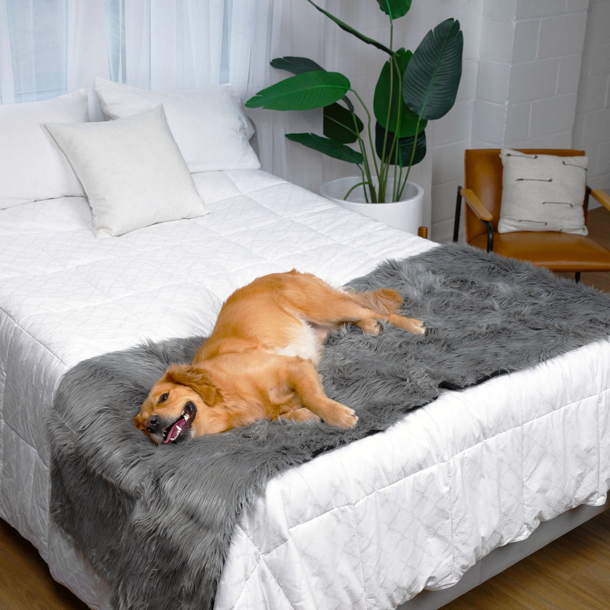 PupProtector Waterproof Bed Runner Charcoal Grey