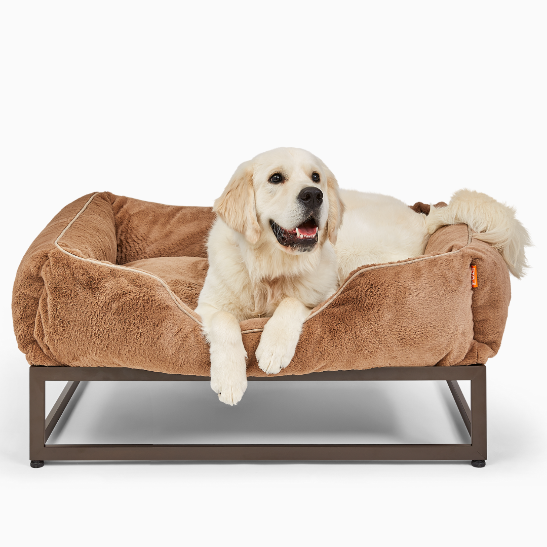 The FÜZI Elevated Dog Bed